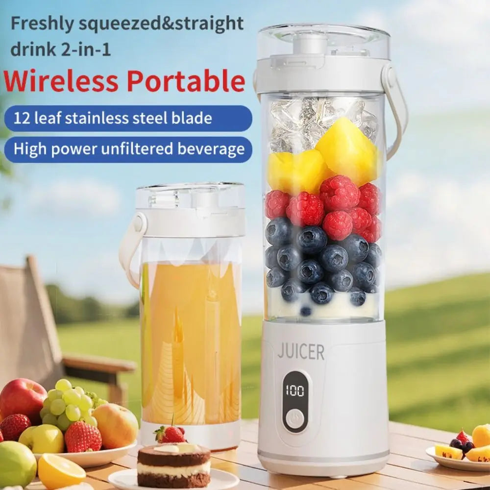 Portable Smoothie Blender for Home Daily Use 600ml