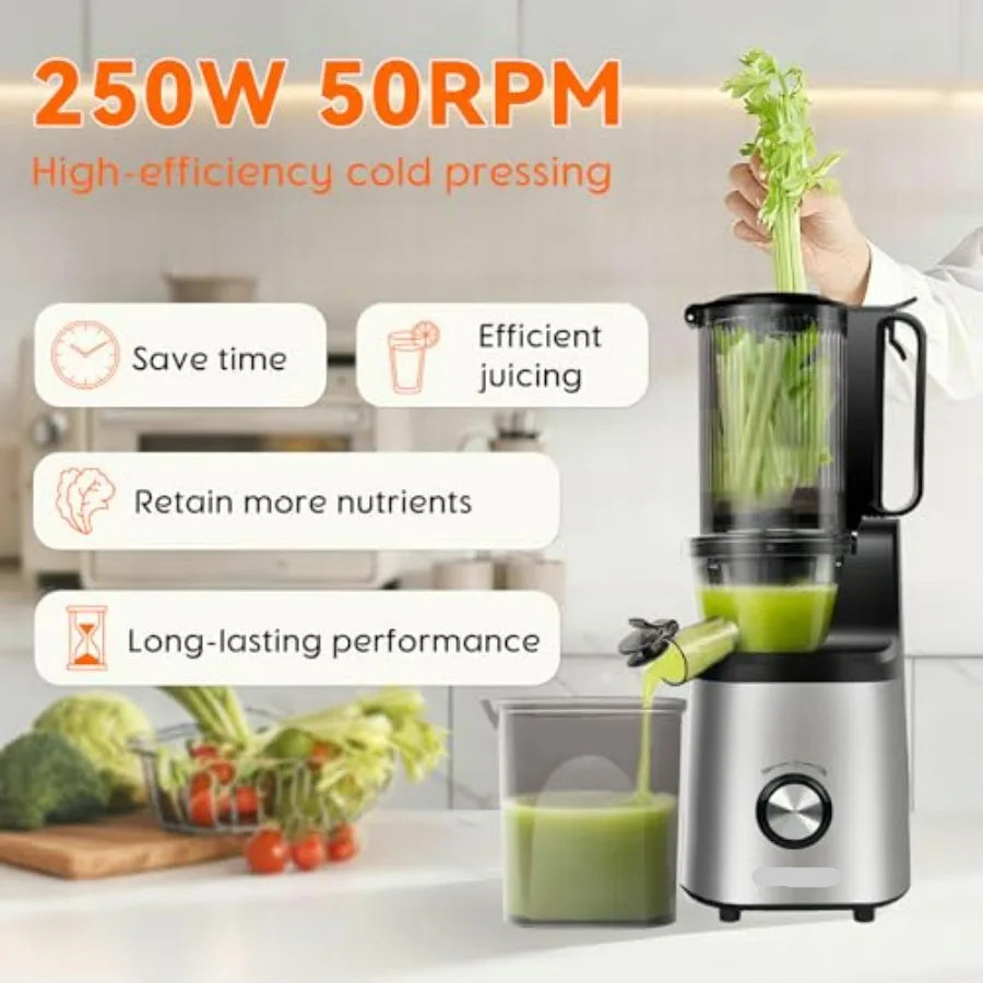Cold Press Juicer <500ml – Electric Slow Masticating