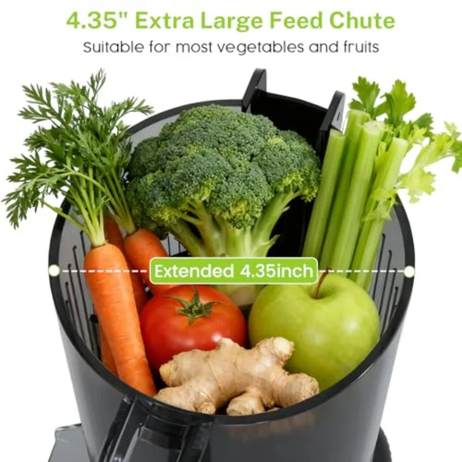 SHXI cold press juicer 4.35" Wide Feed Chute – Slow Masticating