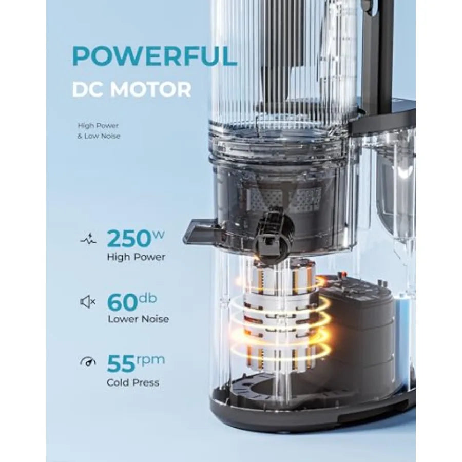 XMSJ 300W Juicer 1.5–2L – Electric Fruit & Vegetable