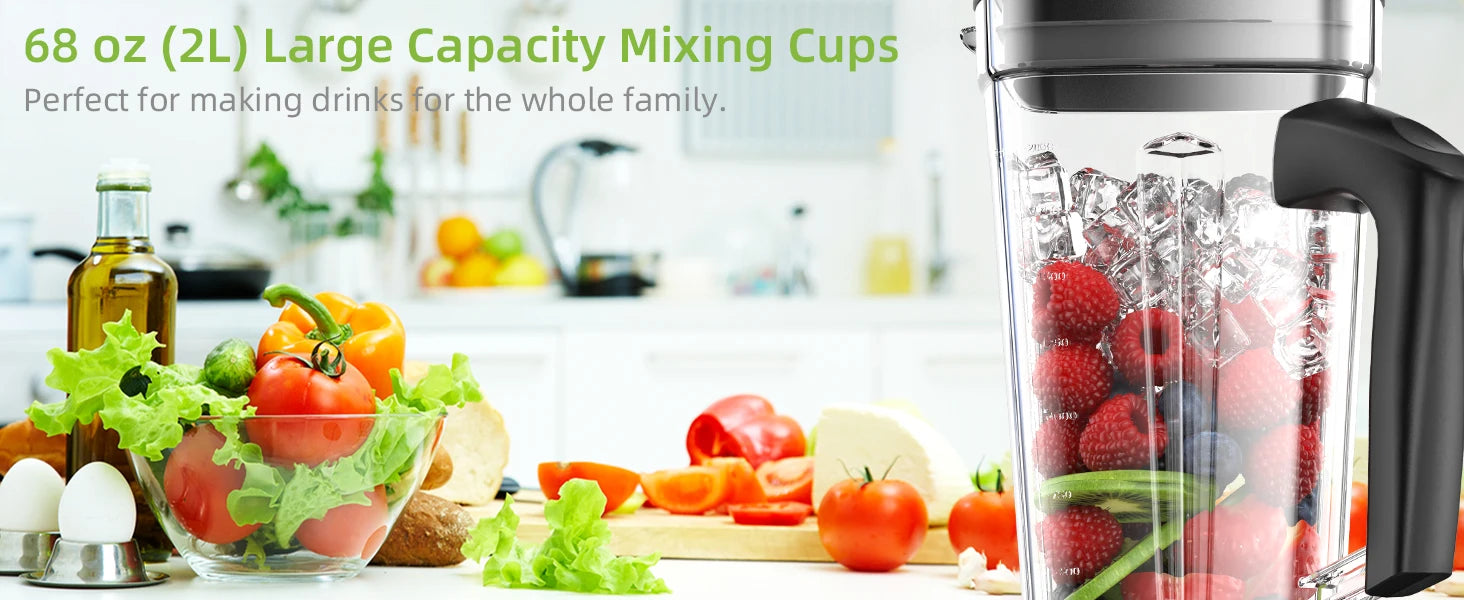 Biolomix T5200 Blender 2L Wet & Dry Multi-Purpose mixer