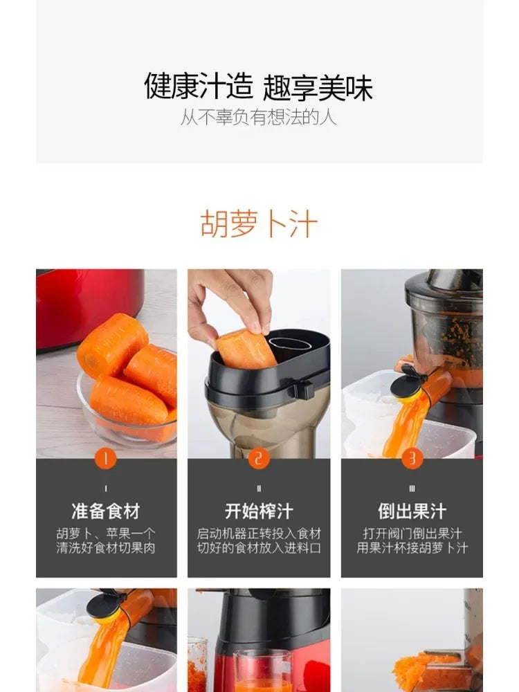 220V High-Capacity Electric Juice Extractor