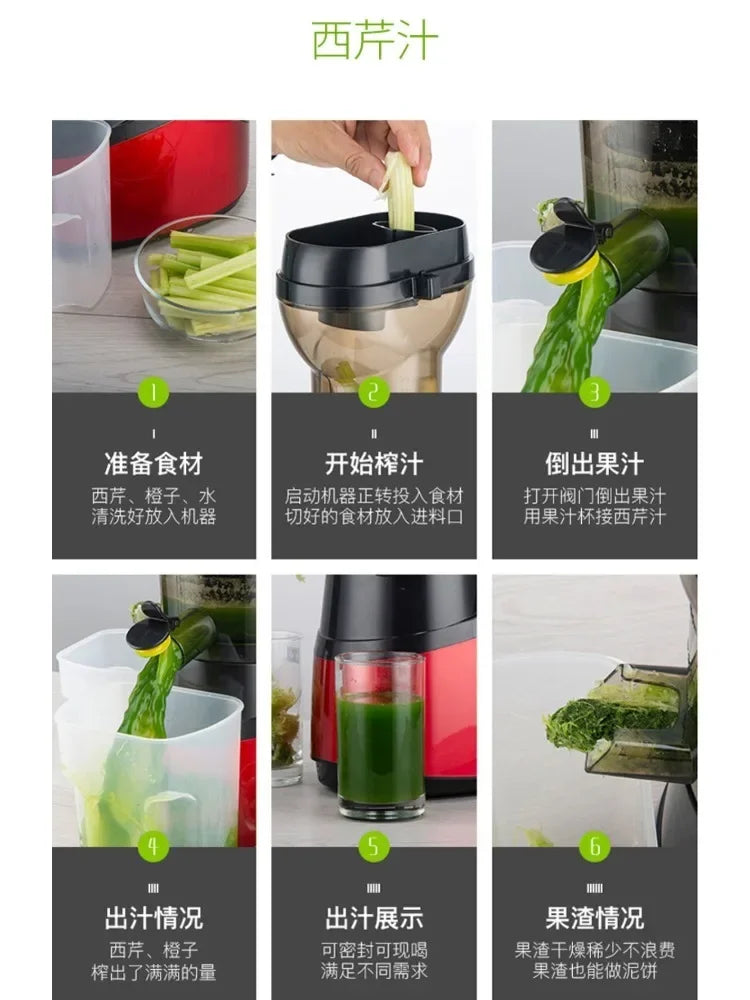 220V High-Capacity Electric Juice Extractor
