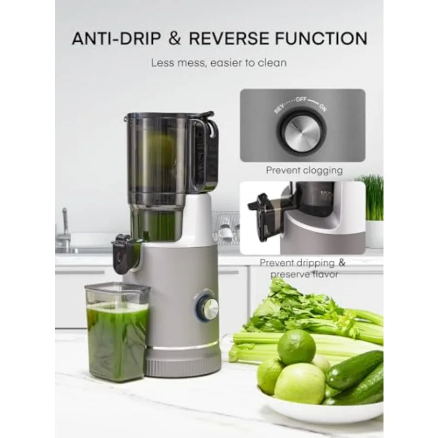 5.4" Cold Press Slow Masticating Juicer – High Yield