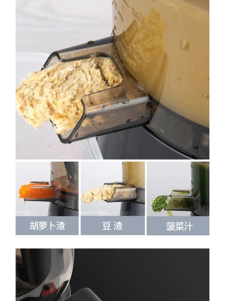 220V High-Capacity Electric Juice Extractor