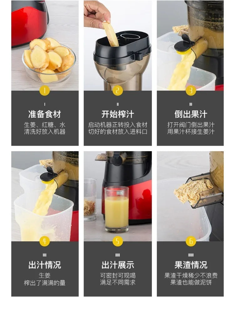 220V High-Capacity Electric Juice Extractor