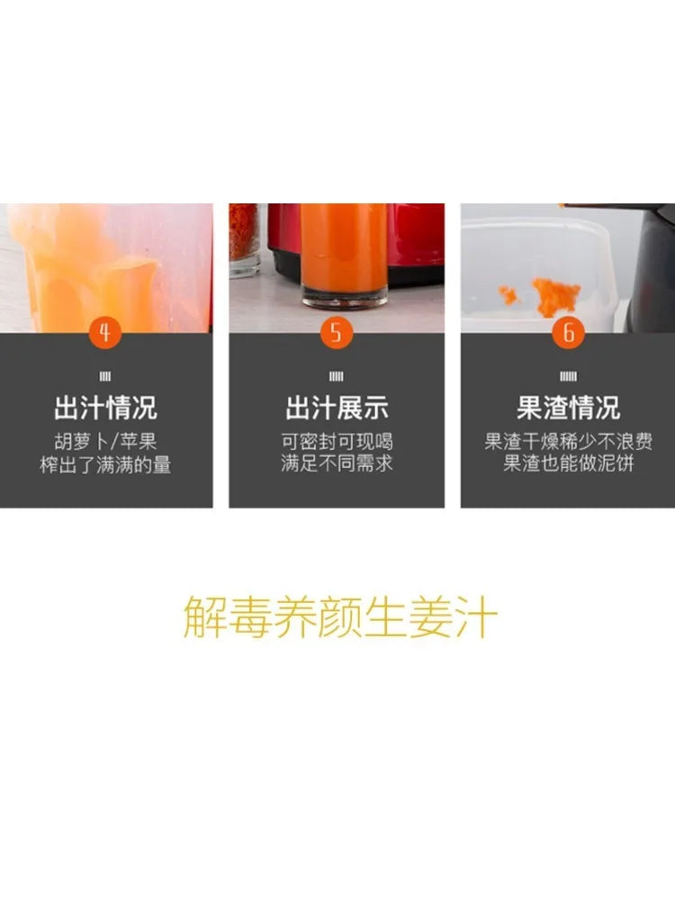 220V High-Capacity Electric Juice Extractor