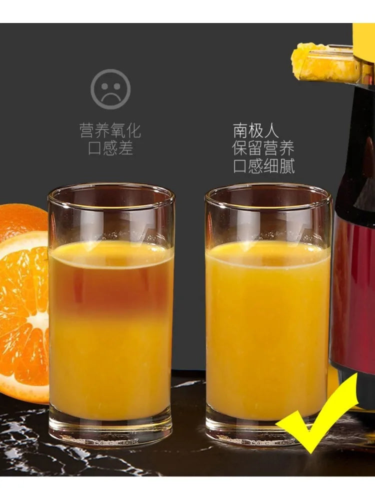 220V High-Capacity Electric Juice Extractor