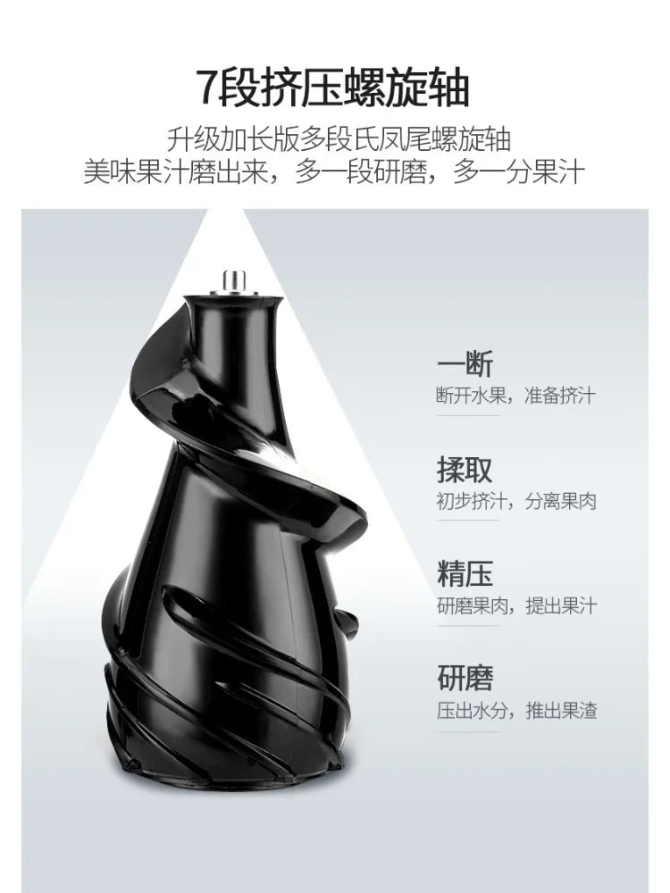 220V High-Capacity Electric Juice Extractor