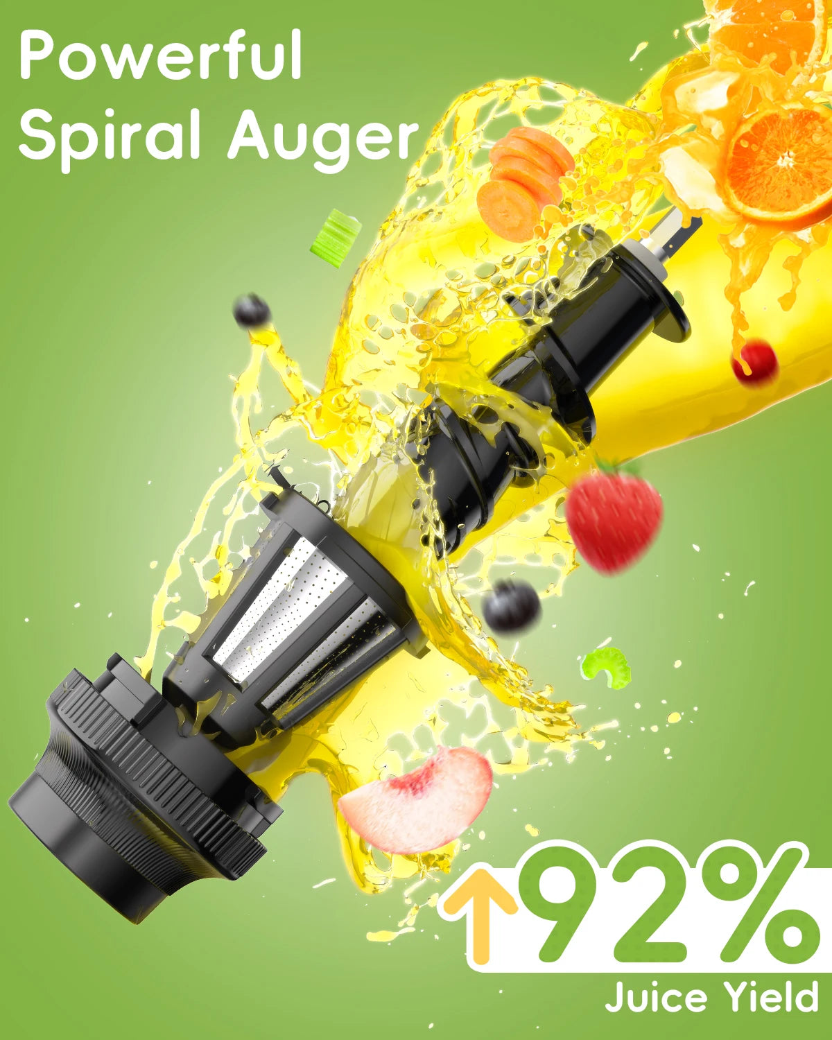 BioloMix Cold Press Slow Juicer
