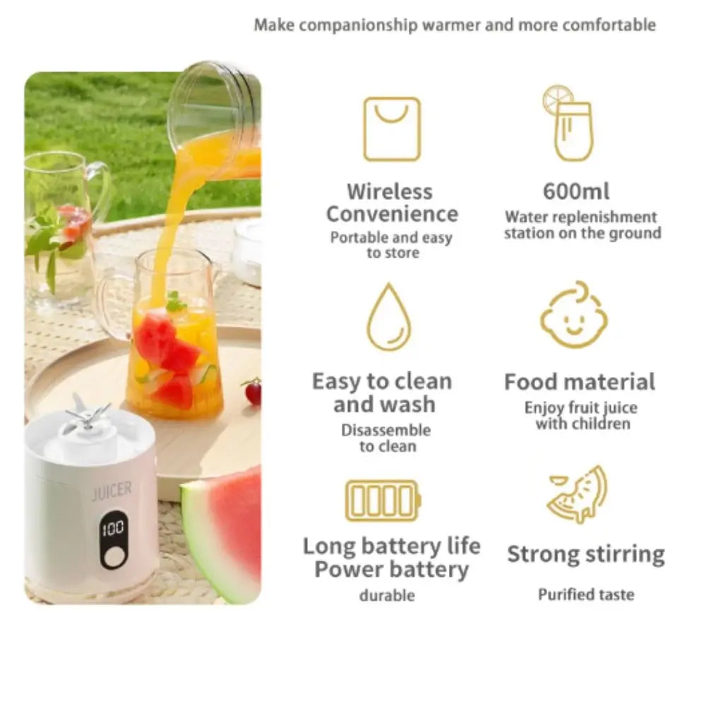 Portable Smoothie Blender for Home Daily Use 600ml