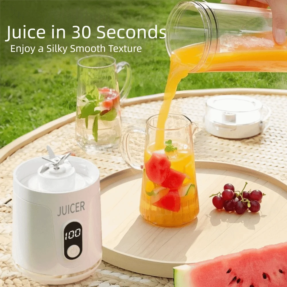 Portable Smoothie Blender for Home Daily Use 600ml