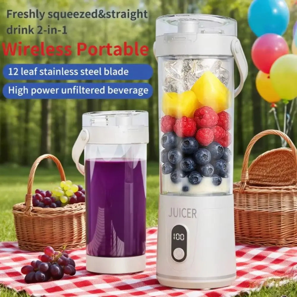 Portable Smoothie Blender for Home Daily Use 600ml