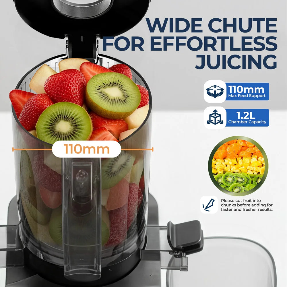 ROUNY Filter-Free Cold Press Juicer